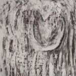 Mic's Heart, Tree frottage with charcoal drawing