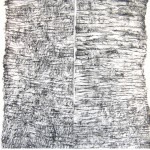 Coconuts, Tree frottage with charcoal drawing