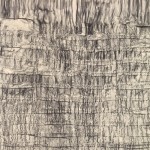 Royal Palm, Tree frottage with charcoal drawing