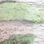 NewTreeswithGreenDots04