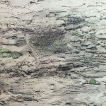 NewTreeswithGreenDots11