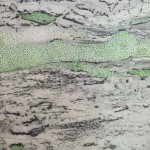 NewTreeswithGreenDots12