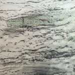 NewTreeswithGreenDots14