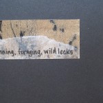 Running. Foraging. Wild Leeks. 2011
