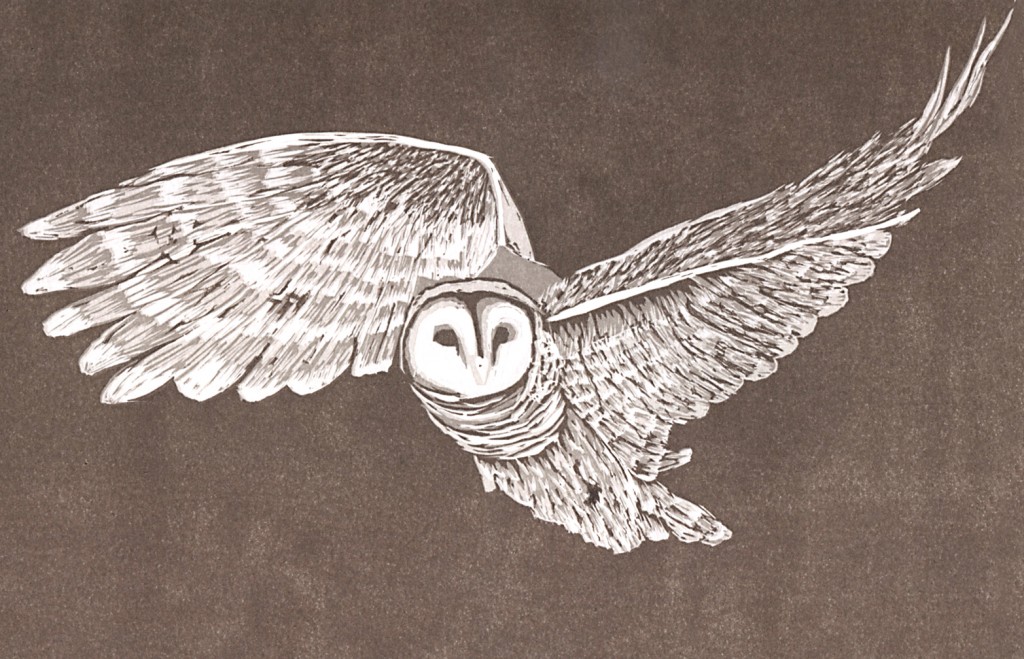 Why owl, why? Four-color reduction linoleum print.